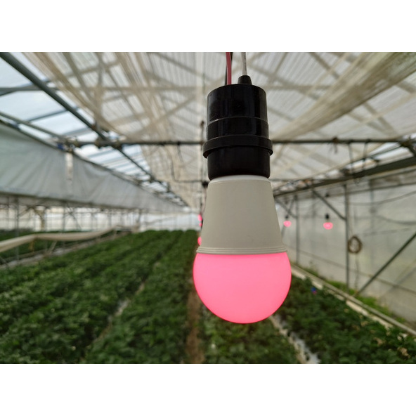 HotaluX AGRI-RED 赤色LED電球(アザミウマ忌避・電照)